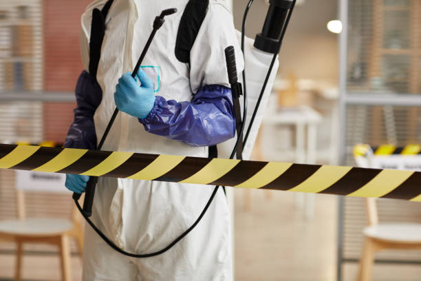 Professional Odor Removal technician working in Thornton, NH