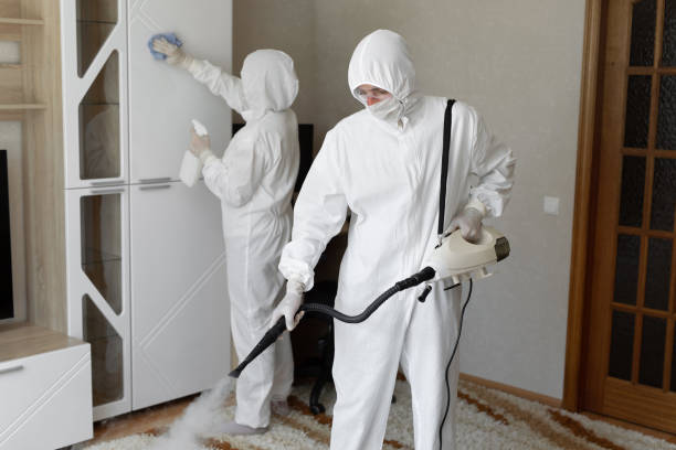 24/7 Emergency Odor Removal experts in Thornton, NH